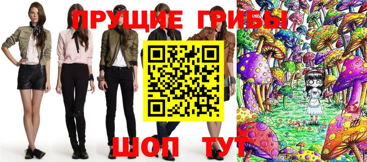 Ногинск  купить наркоту  Вход с VPN  Галлюциногенные грибы мицелий 