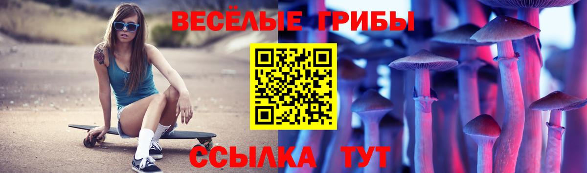 Псилоцибиновые грибы Psilocybe Ногинск